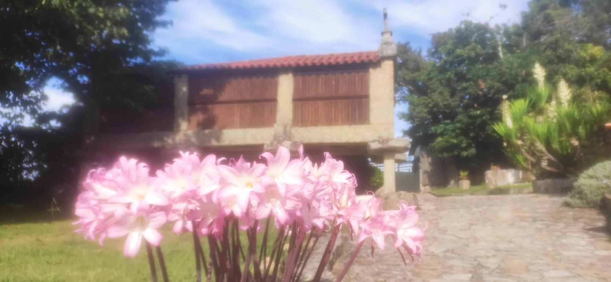 Casal De Folgueiras Rias Baixas Guest House Meis Luaran gambar